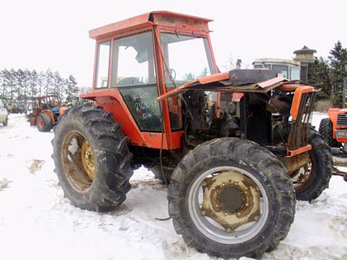 Amazoncom: Come September: Rock Hudson, Gina Lollobrigida