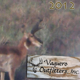 Vaquero-Outfitters-Pronghorn-Scouting.jpg