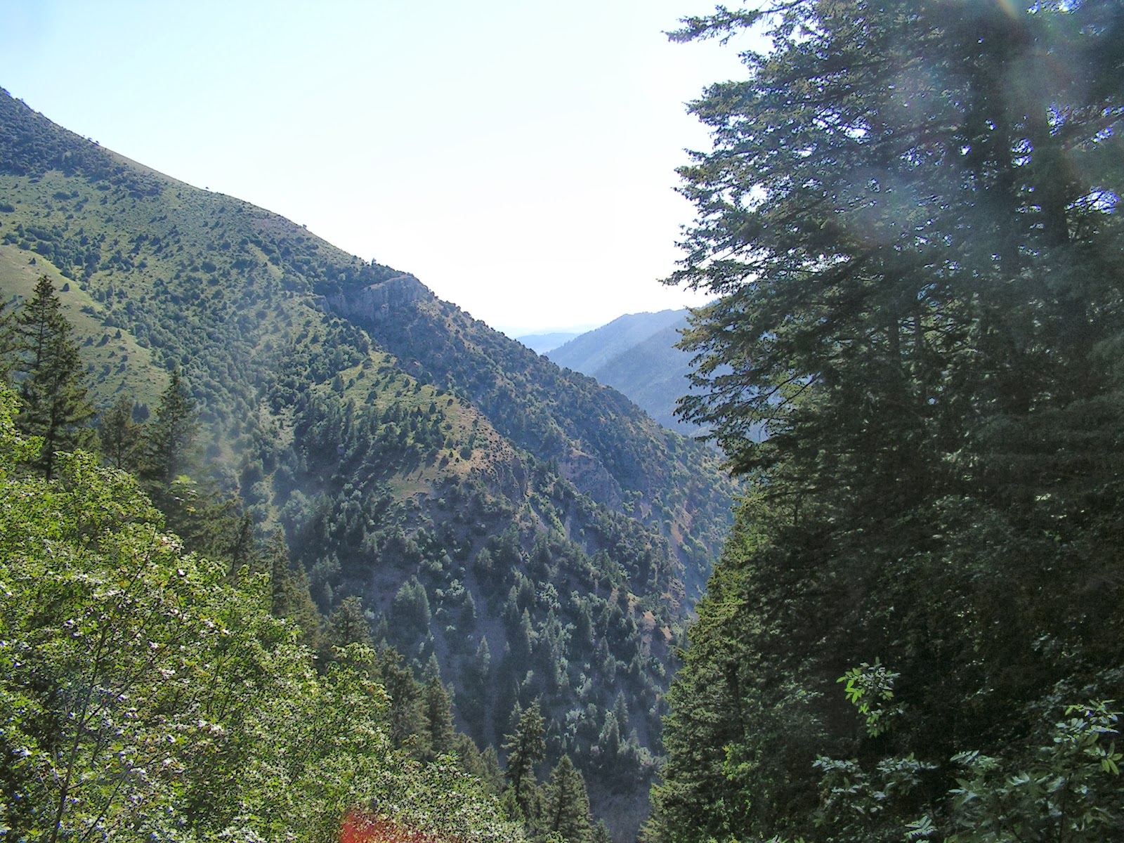 Dream Packer Trail Adventures Blacksmith Fork Canyon, Utah
