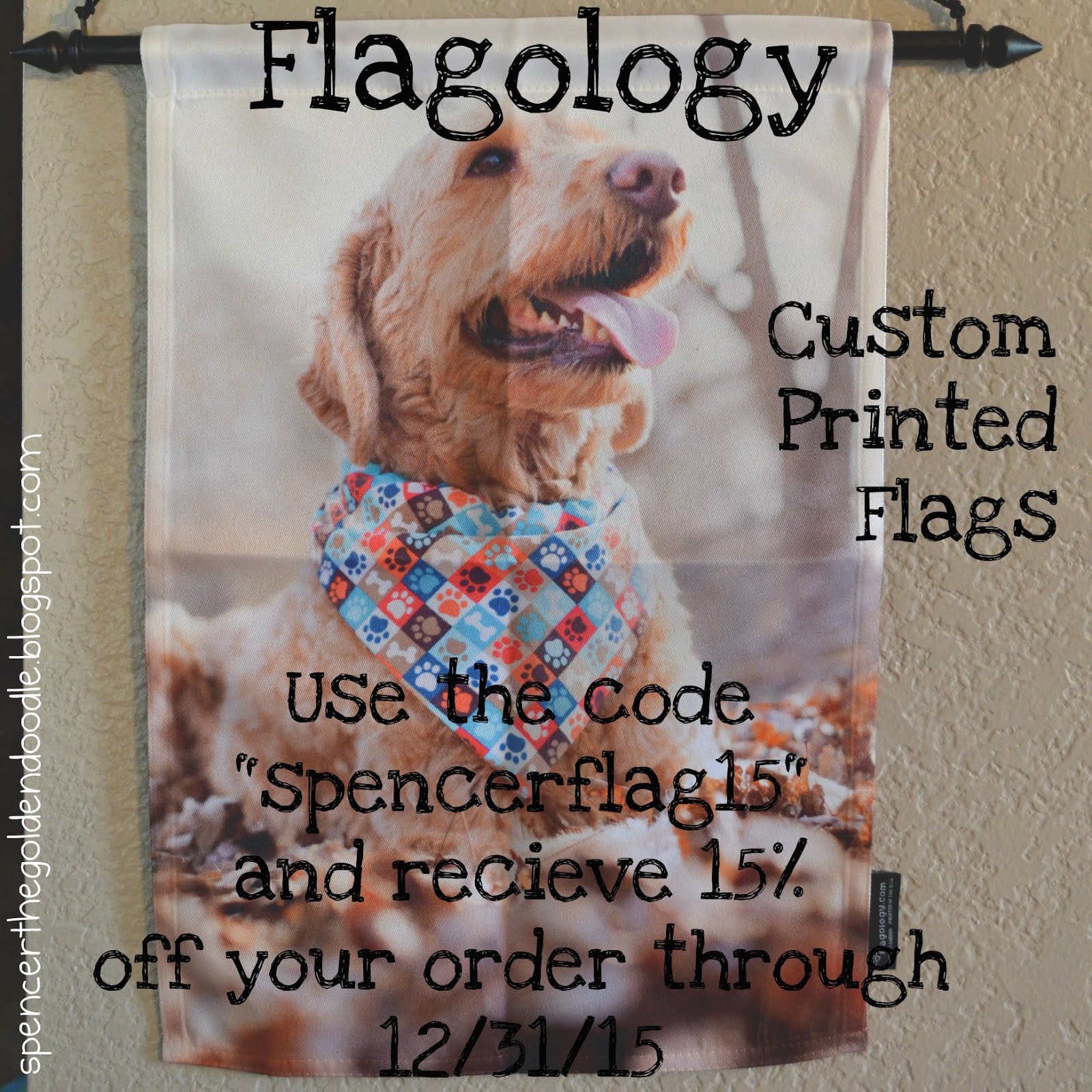 Flagology