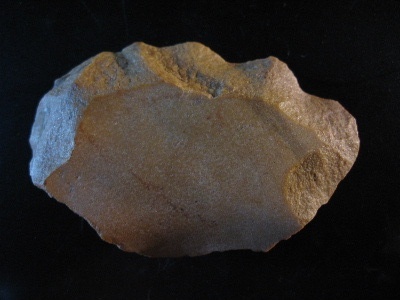 Opiniones de musteriense de tipo quina ferrassie