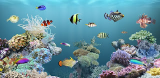 aniPet Aquarium - gudangdroid.blogspot.com