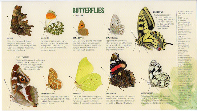 Butterfly FDC insert.