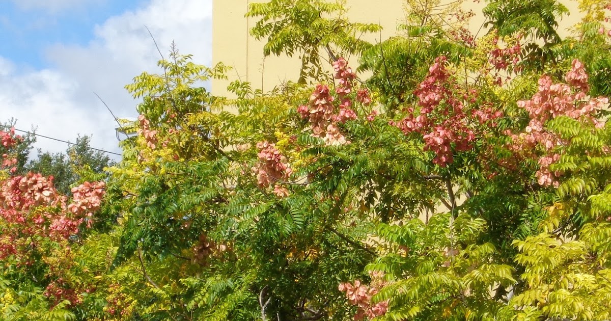 University of Florida/IFAS Charlotte County Extension Why you don’t