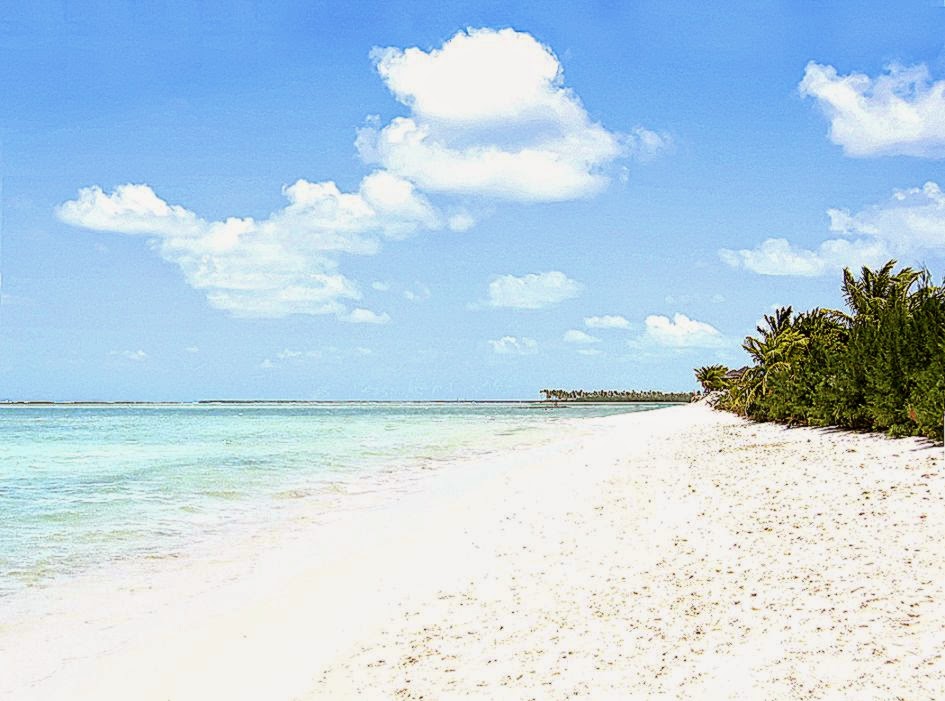 The Best Beaches Near Orlando Traveler Source Travelsc The Best Beaches Near Orlando Traveler Source Travelsc