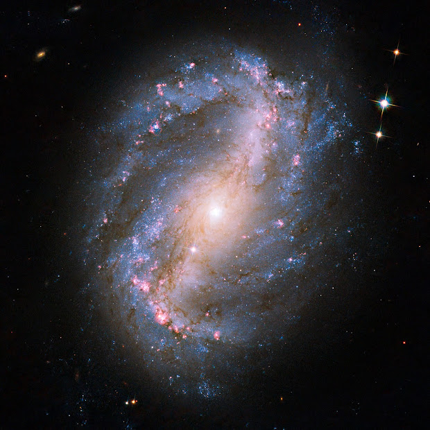 Barred Spiral Galaxy NGC 6217 portrayed by Hubble with the ACS