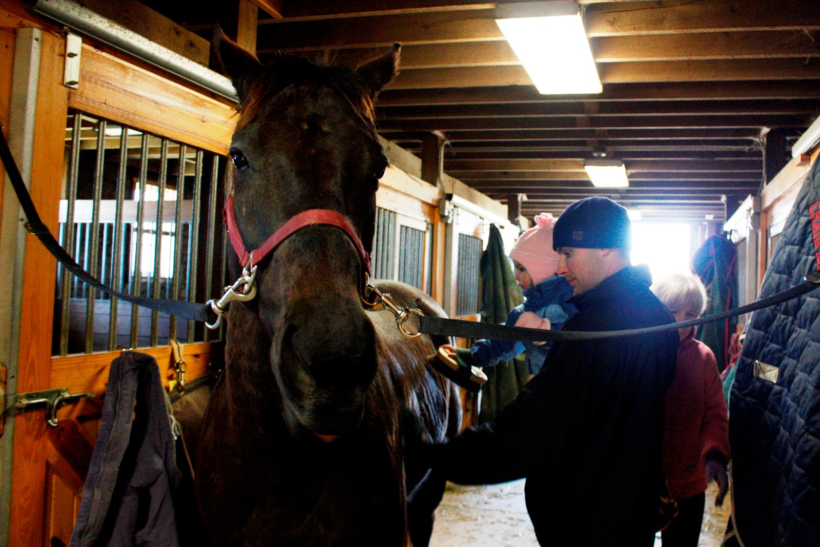 Going Mamarazzi Hannah rides a horse
