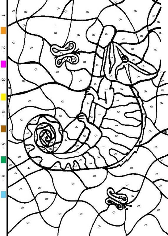 Coloring Page World: Chameleon Color-by-Number