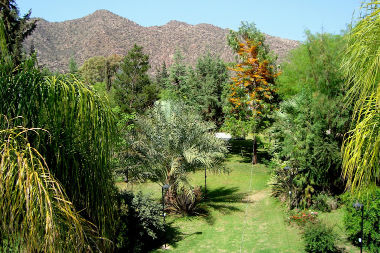 PARQUE EN VERANO