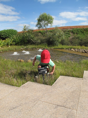 Cranbourne Botanic Garden