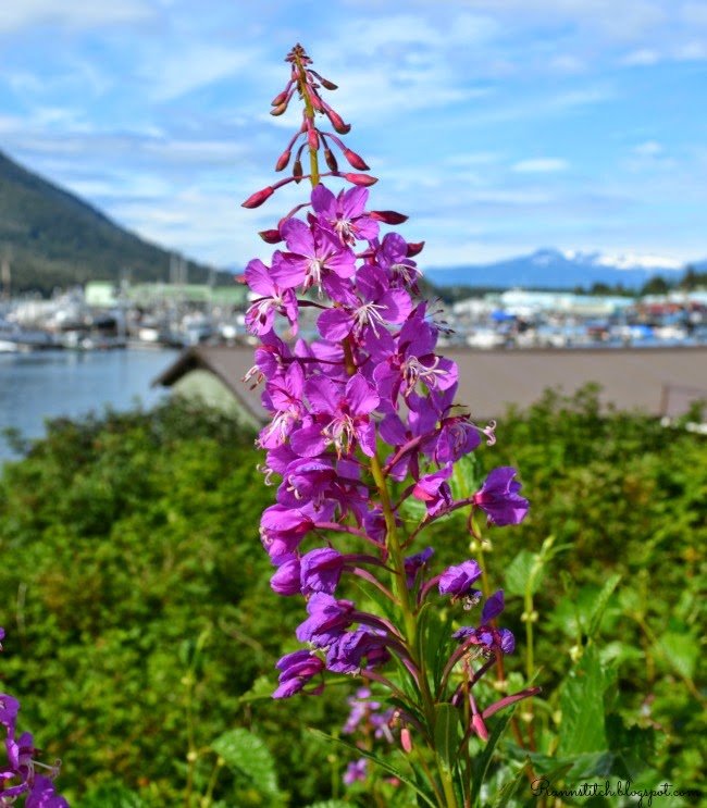 Run 'n Stitch Alaska Wild Flowers