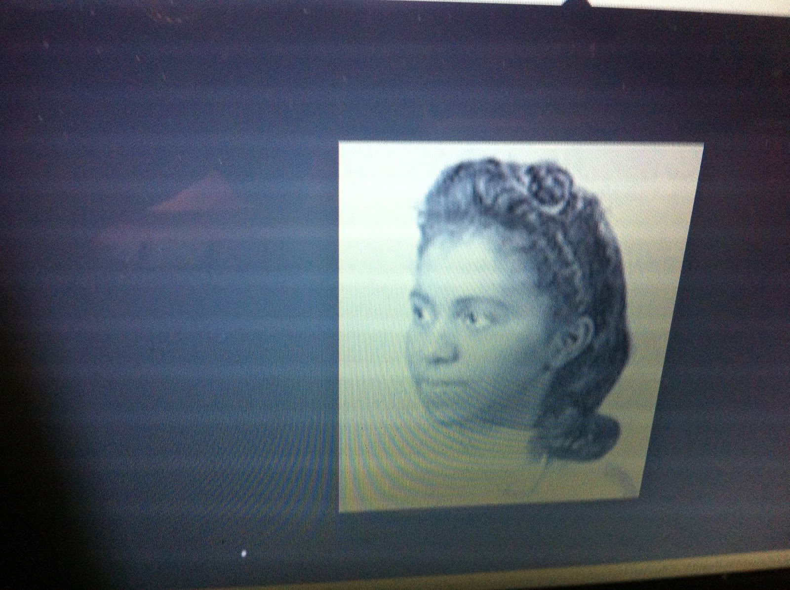 THE BLACK SOCIAL HISTORY BLACK SOCIAL HISTORY AFRICAN AMERICAN