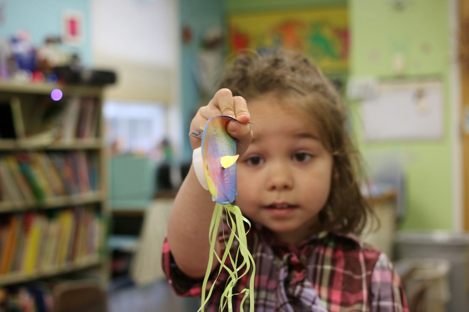 hermit crab teach fly them crabs