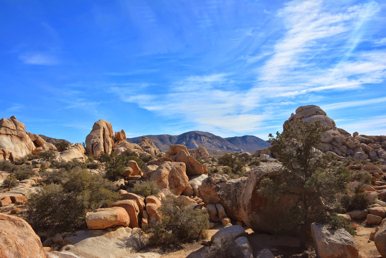 Patrick Tillett Iron Door Cave Joshua Tree National Park