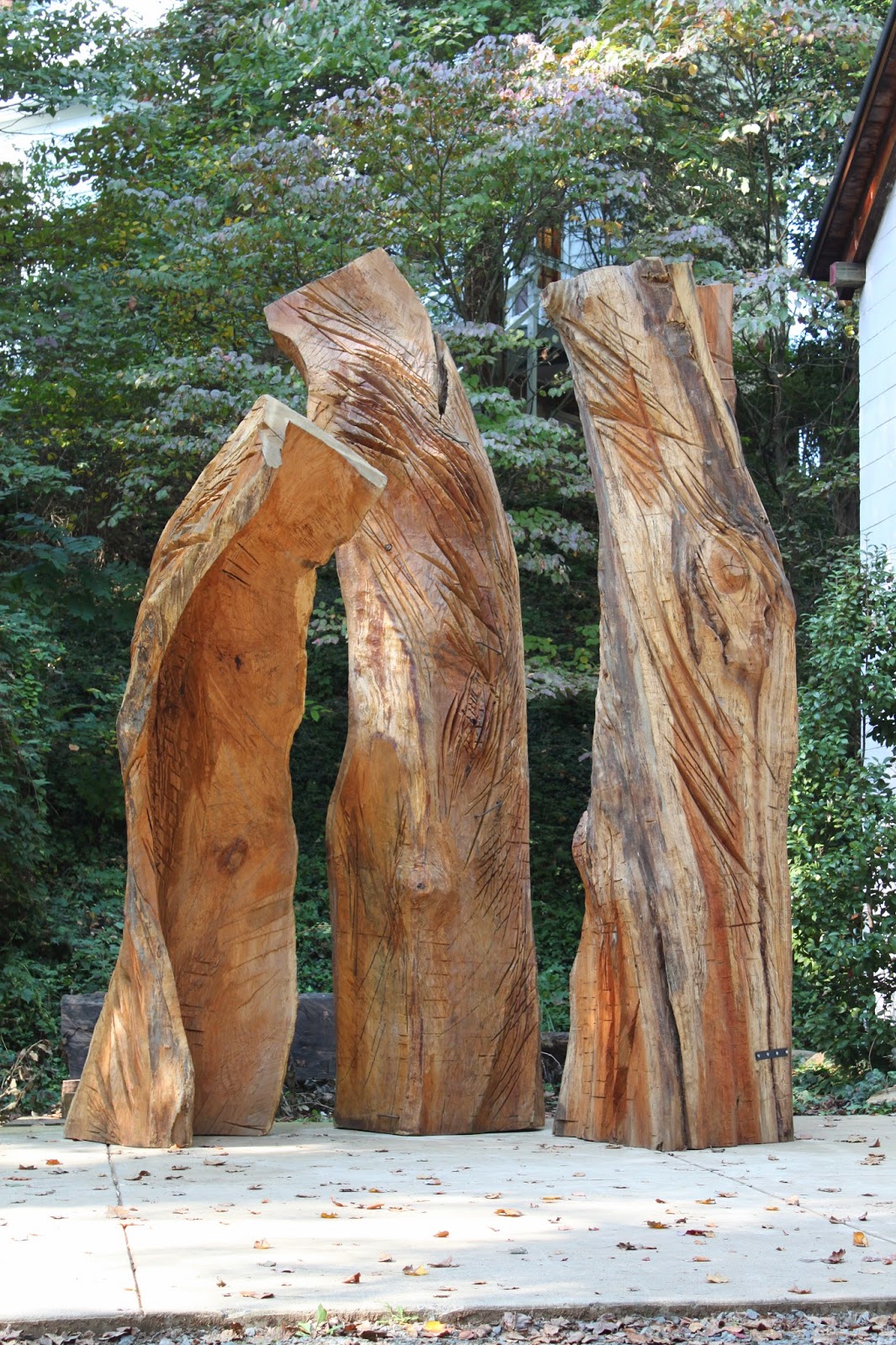 Amazon Com Spilled Wine Weigela Florida Live Shrub Pink