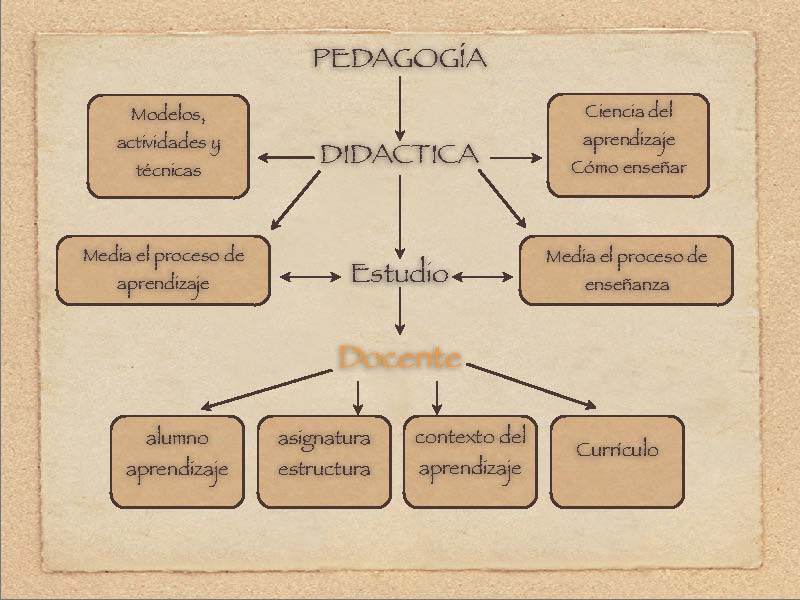 LA SALUD COMO PROCESO FUNDAMENTAL la salud como proceso fundamental: