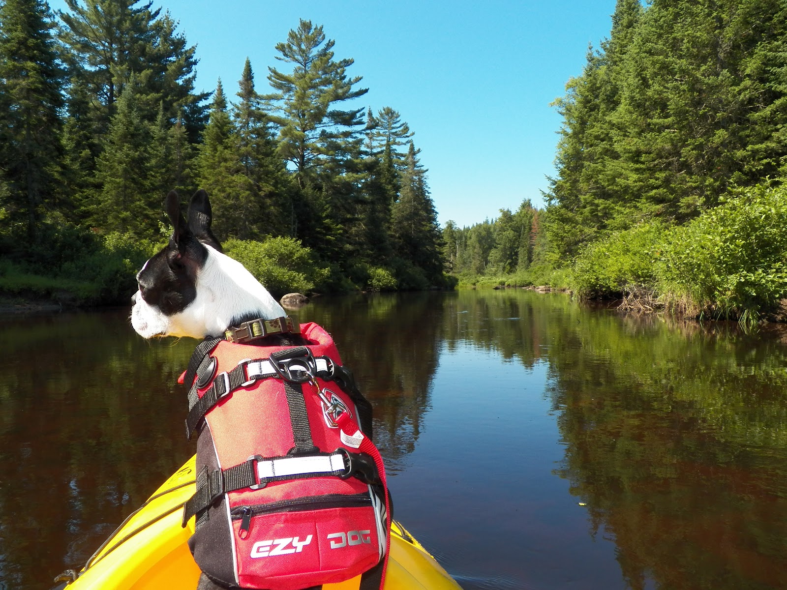 Quiet Kayaking in New York State Oswegatchie River near Star Lake