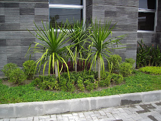 lansekap dan arsitektur: pekerjaan taman