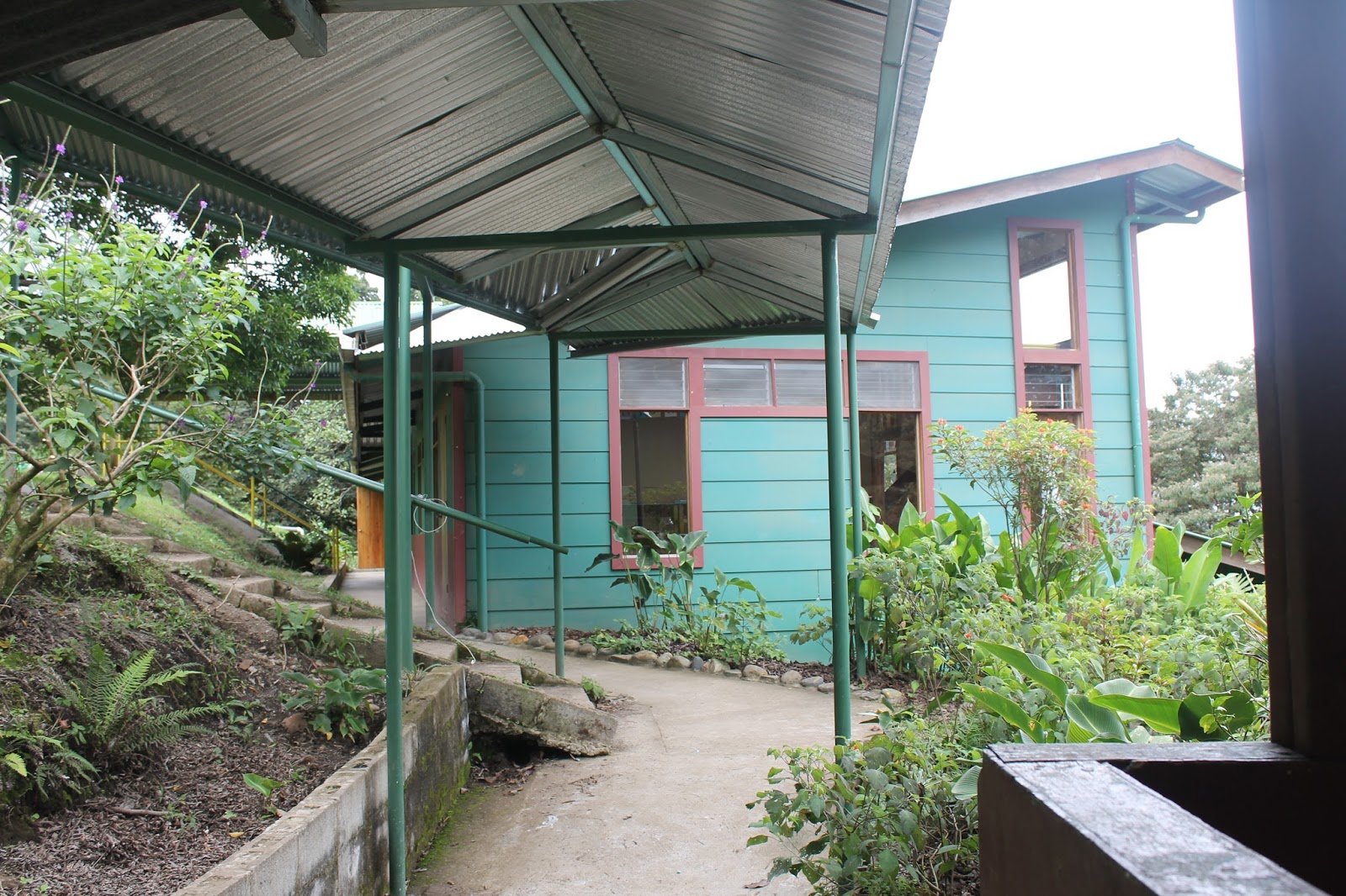 O'Connor's Monteverde Adventure The Cloud Forest School/Centro