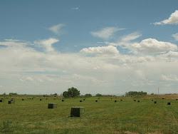 Lapoint, Utah