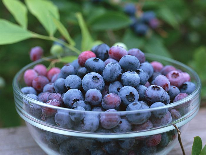 Blueberry Allergy Symptoms