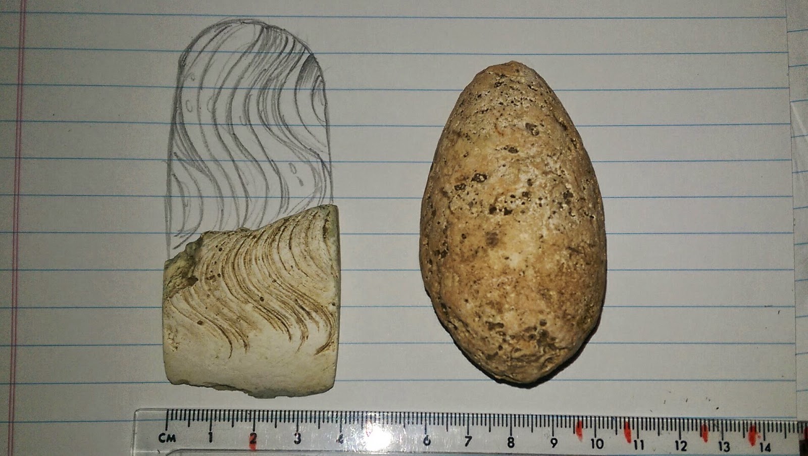 on Saipan Mom's Egg An artifact