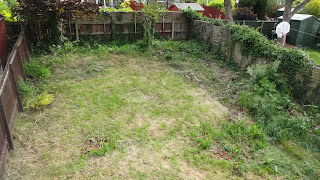 DSC07775.JPG