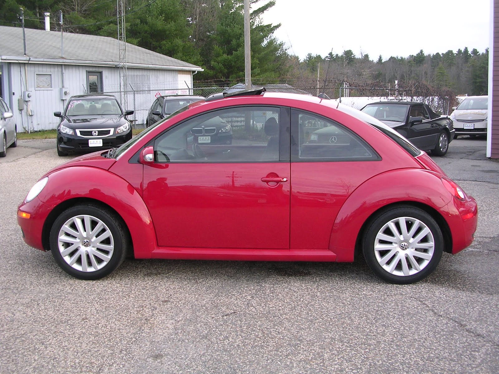 Beetle Red