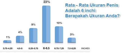 Grafik Ukuran Alat Vital Pria