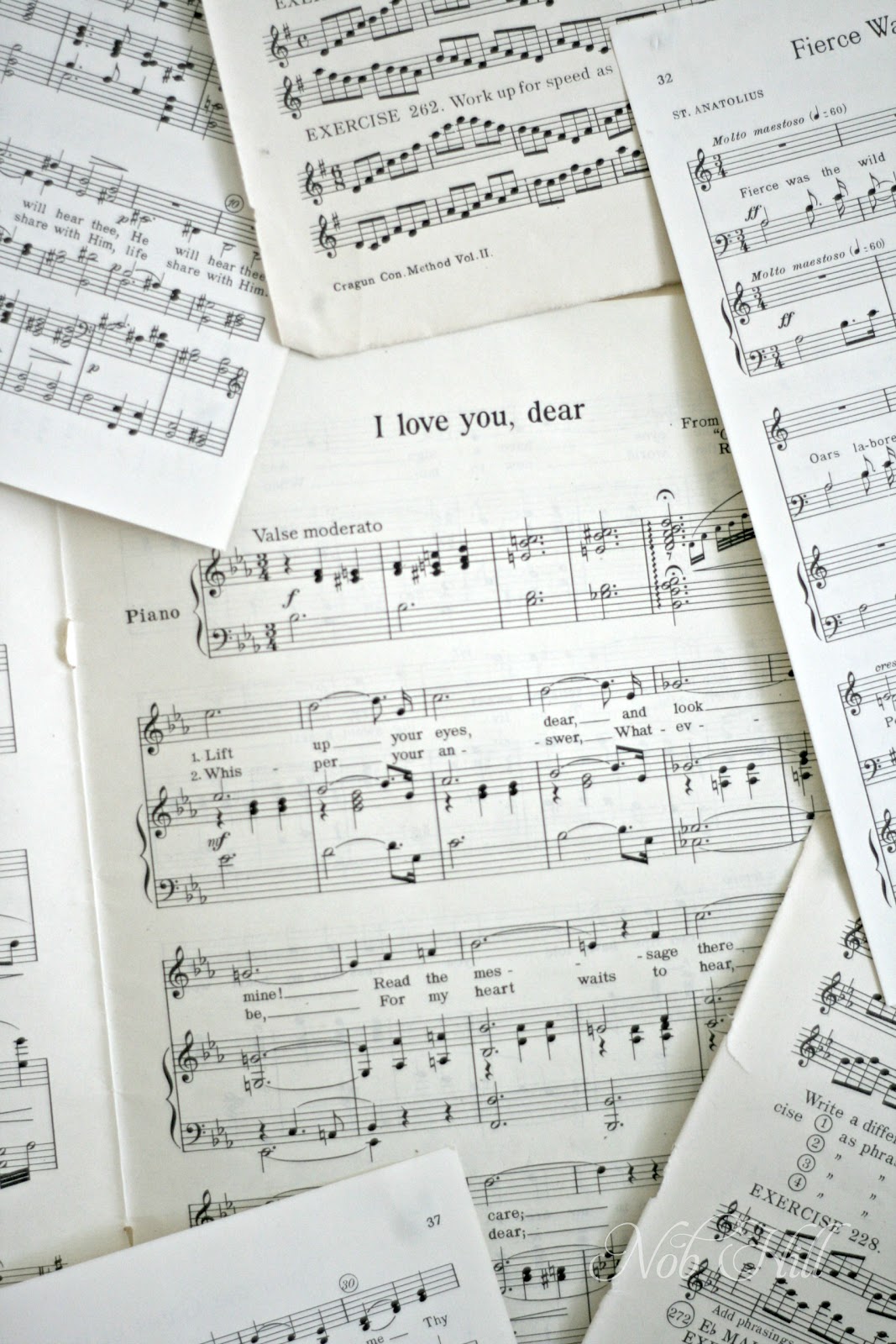 love songs essay love songs essay