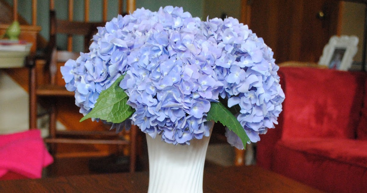 One Day at a Time Hydrangea Support