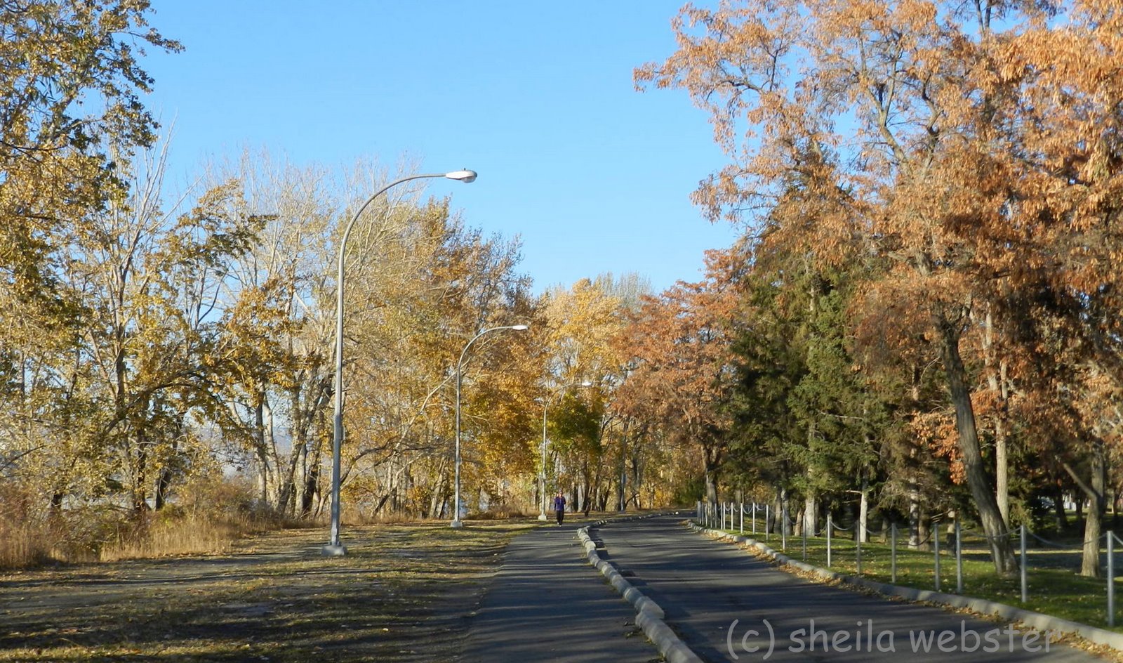welovekamloops McArthur Island Park Autumn Kamloops, BC