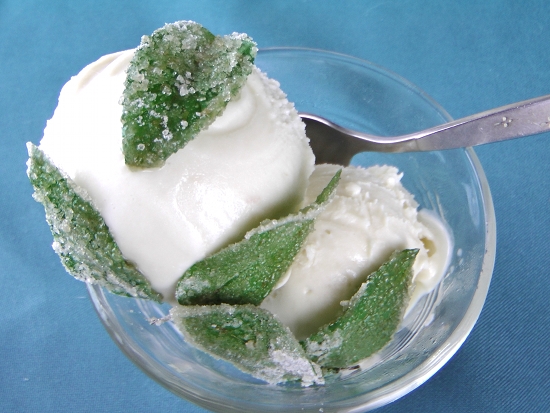 Sugared Mint Leaves