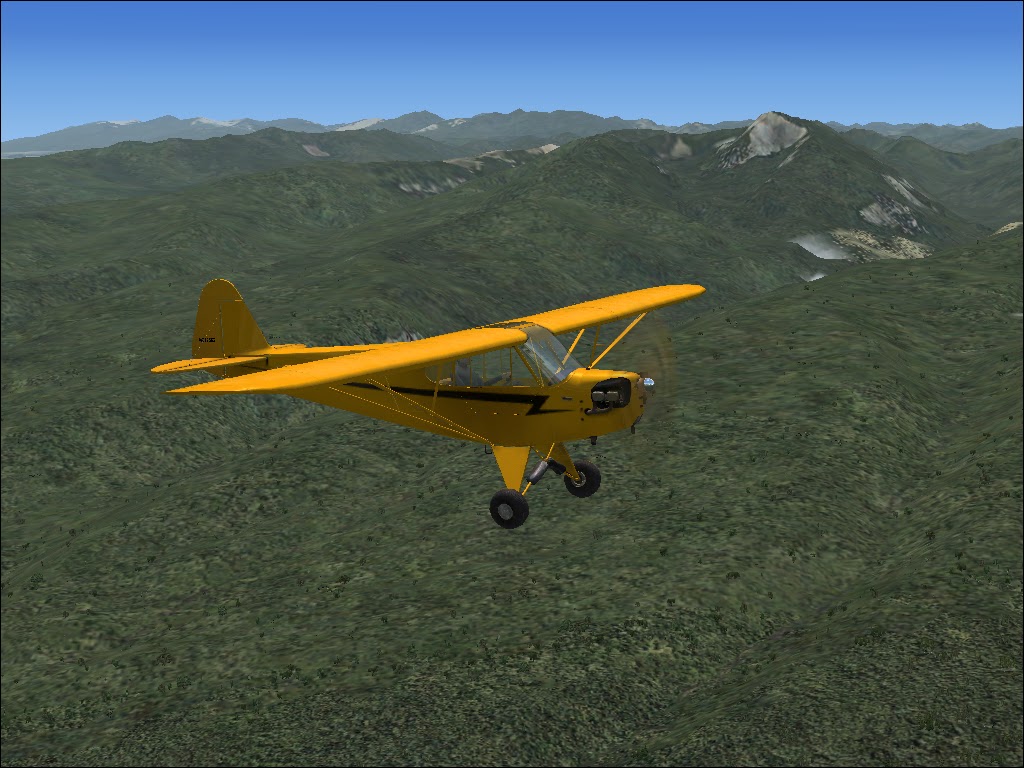 Wittman Buttercup