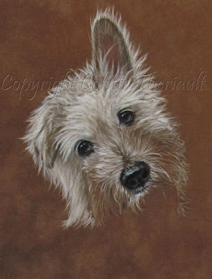 Terrier Dog Portrait Commission Painting by Animal Portraitist Colette Theriault