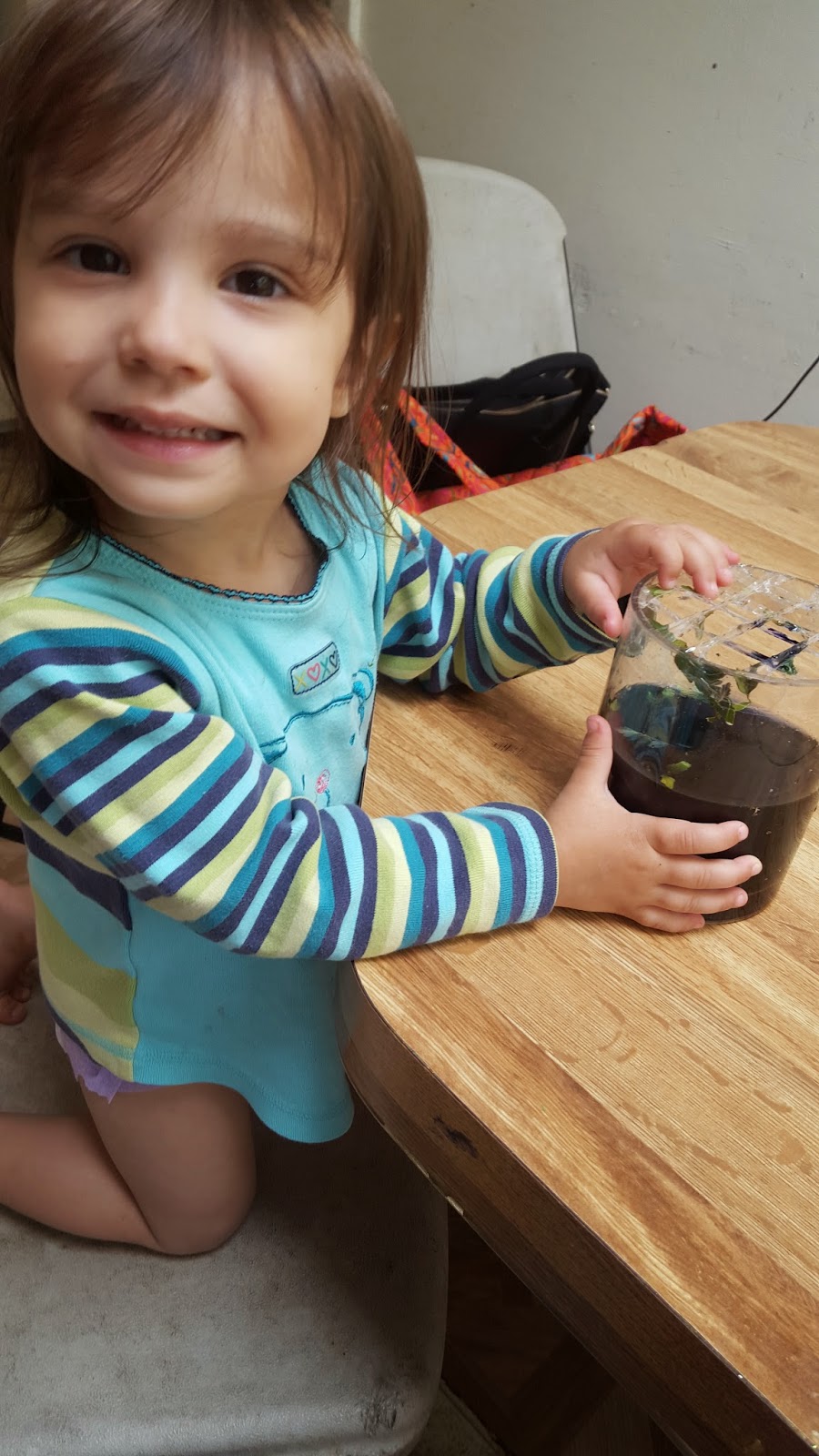 Chicken Nugget Mom Celery Magic!