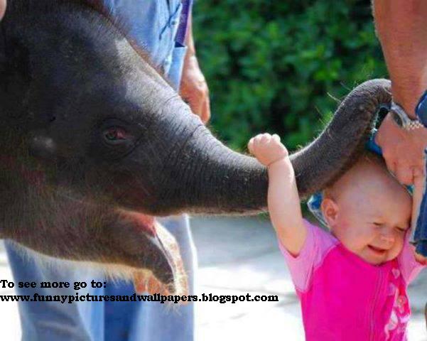 funny baby pictures 