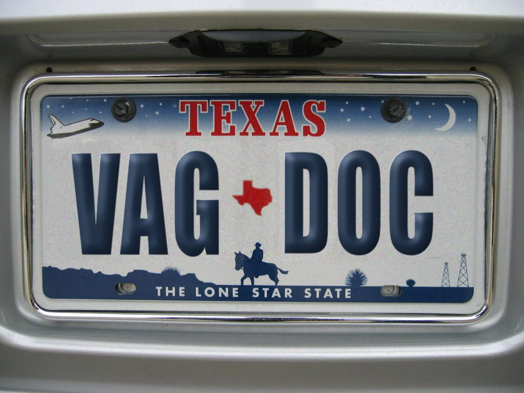 Texas bans crude license plate.