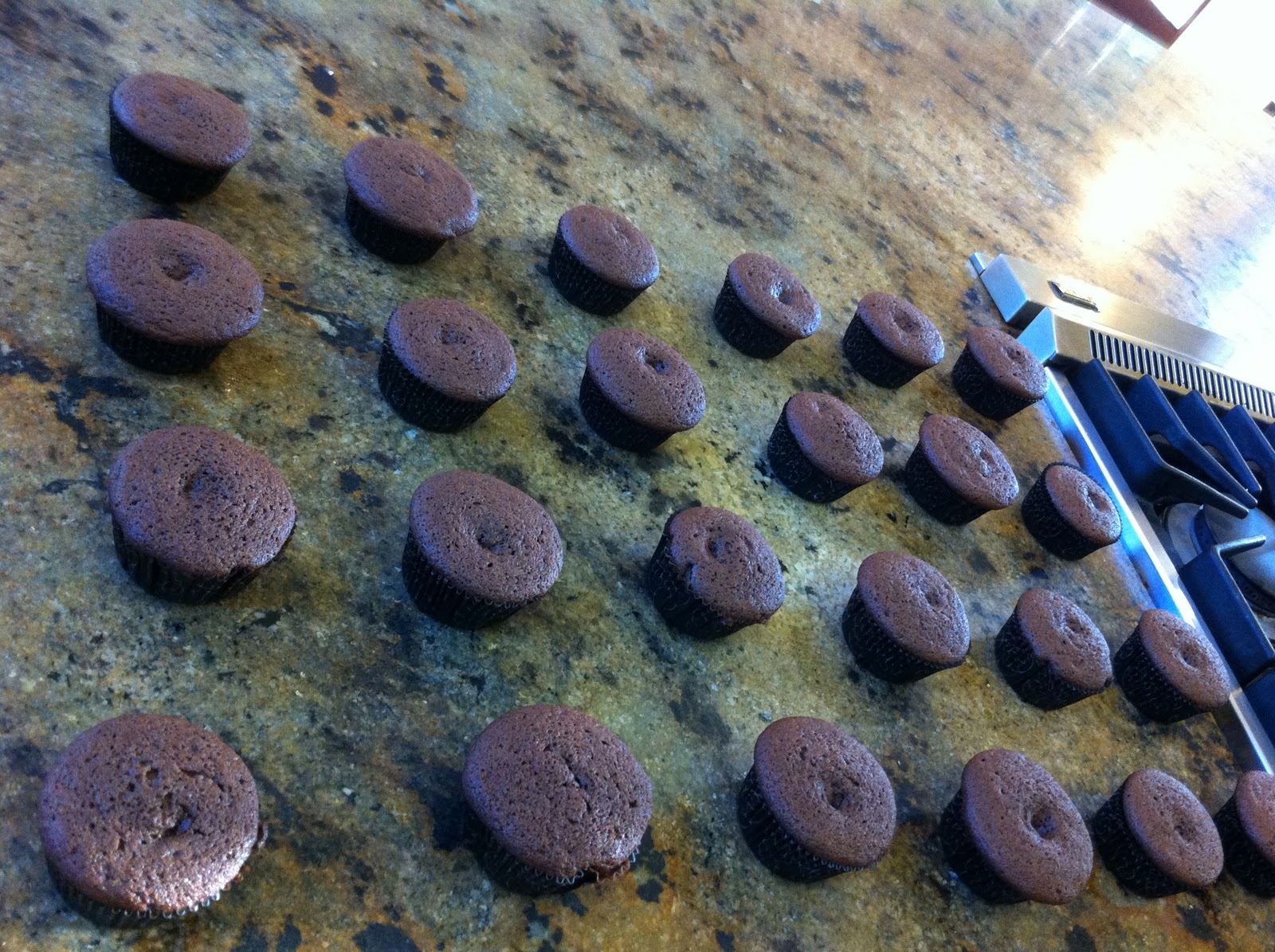 The Pampered Jes World's Most Expensive Cupcakes? Totally worth it!