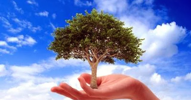Environment Slogan In Hindi | Hindi Slogan Of Save Environment | Hindi