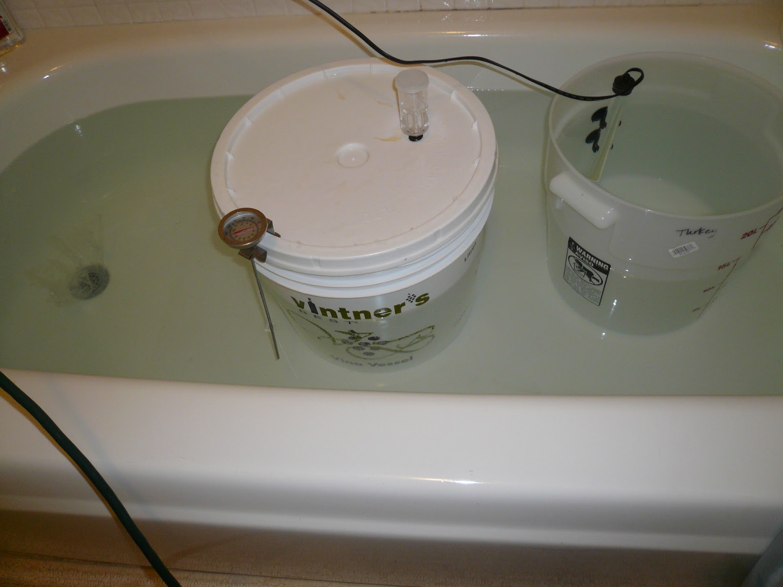 Pig Pail S Above Average Blog Aquarium Heater For