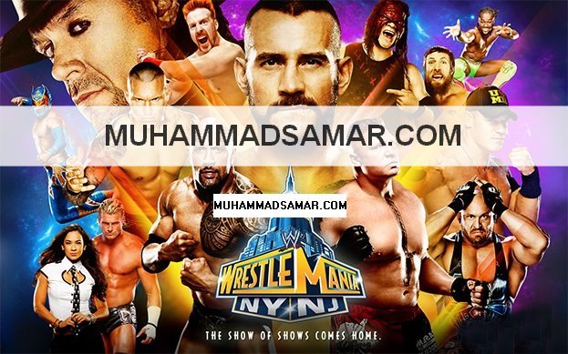 Watch Wwe Wrestlemania 29 Online Live Streaming