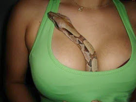 ular nakal