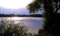 See bei Sonnenschein Bild: Es ist ein See zu sehen, auf dem sich die Sonne spiegelt. Im Vordergrund des Bildes steht auf der rechten Seite ein Baum und auf der linken Seite ein Busch. Im Hintergrund kann man einen kleinen gemütlichen Strand erkennen.