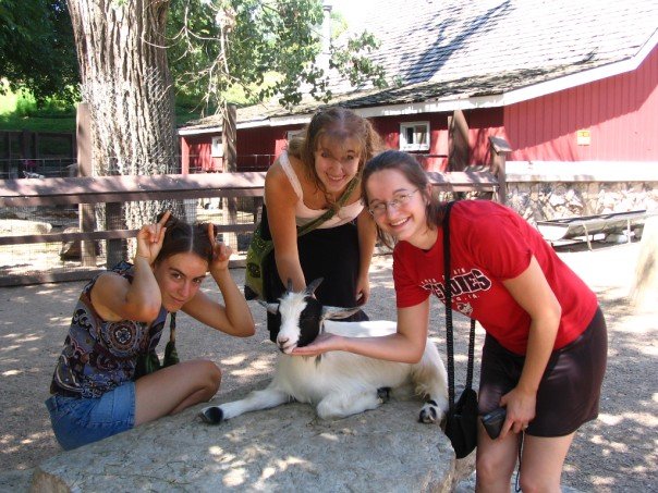 Emotionen In Bildern