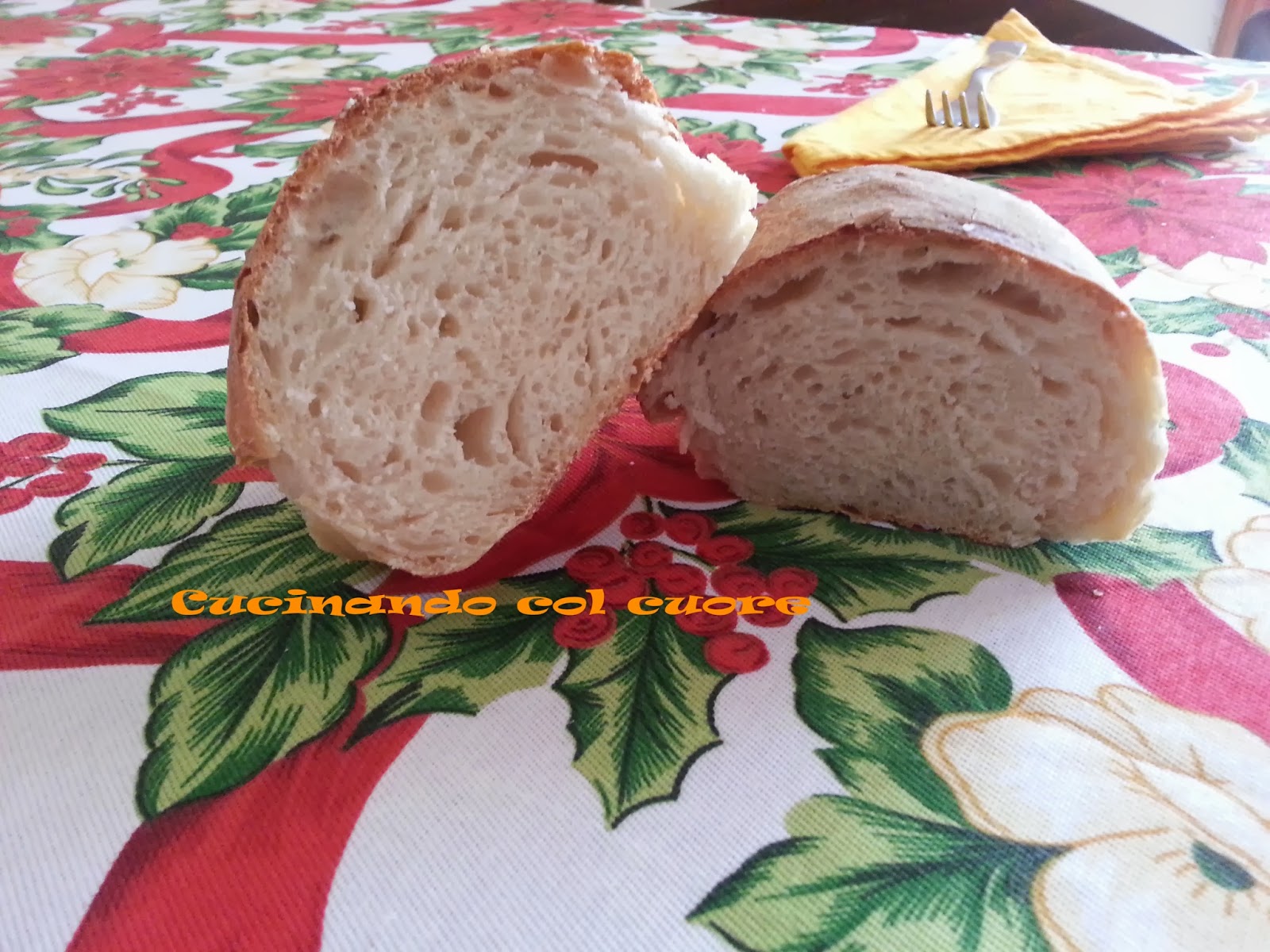 Pane semplice con pasta madre