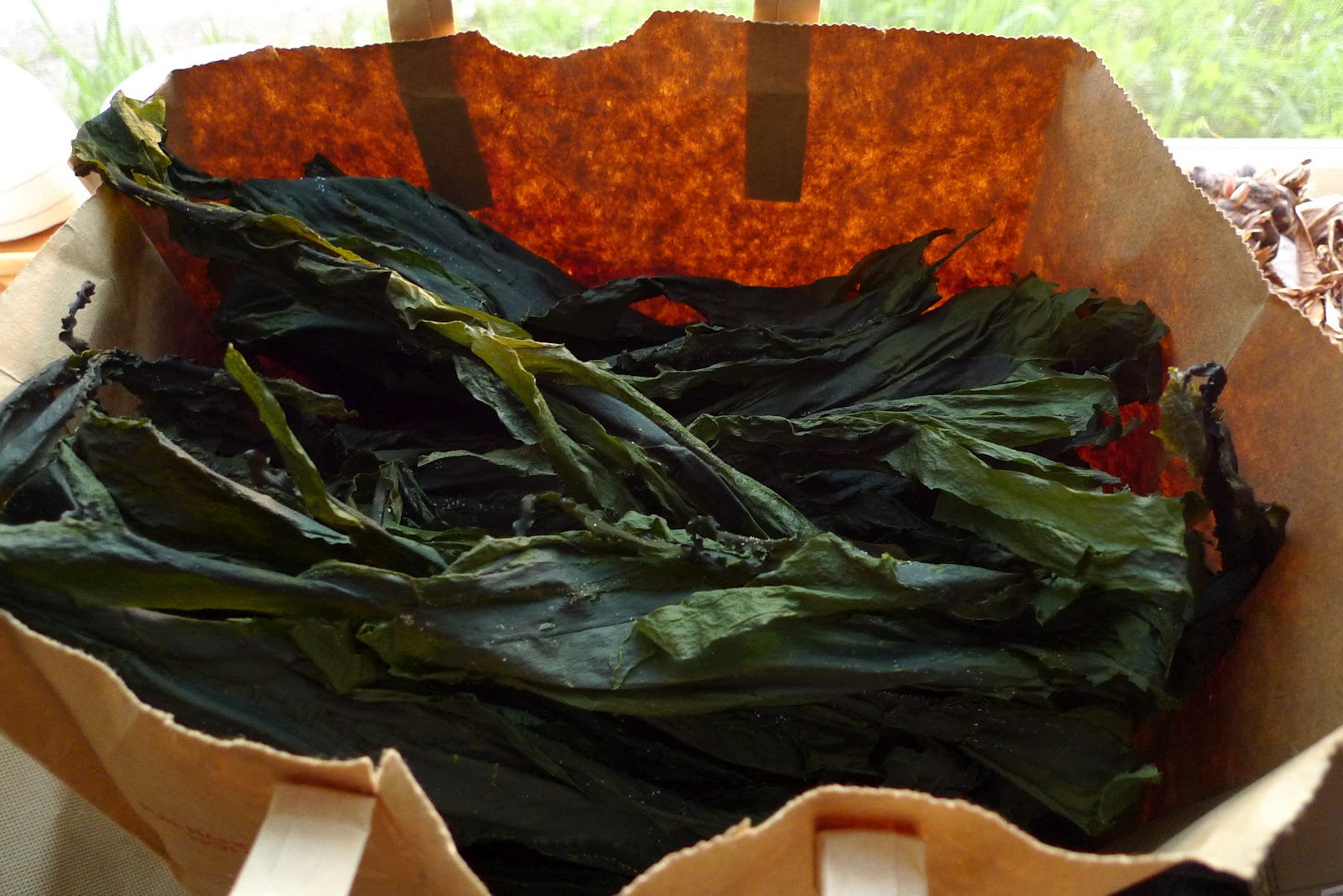 Wild Harvests Kelp and other seaweed snacks