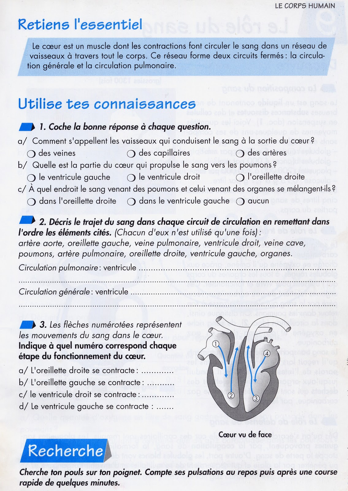exercice d analyse grammaticale