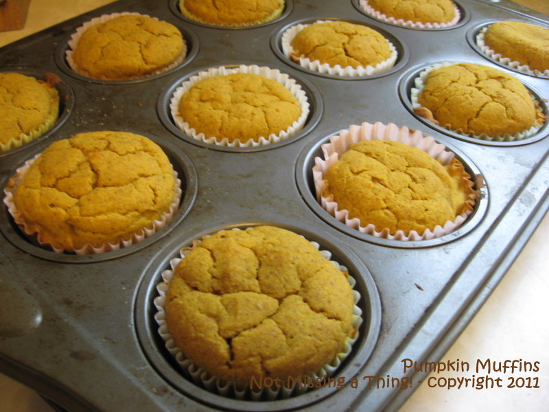 Not Missing a Thing! Allergy Friendly Cooking Pumpkin Muffins {gluten