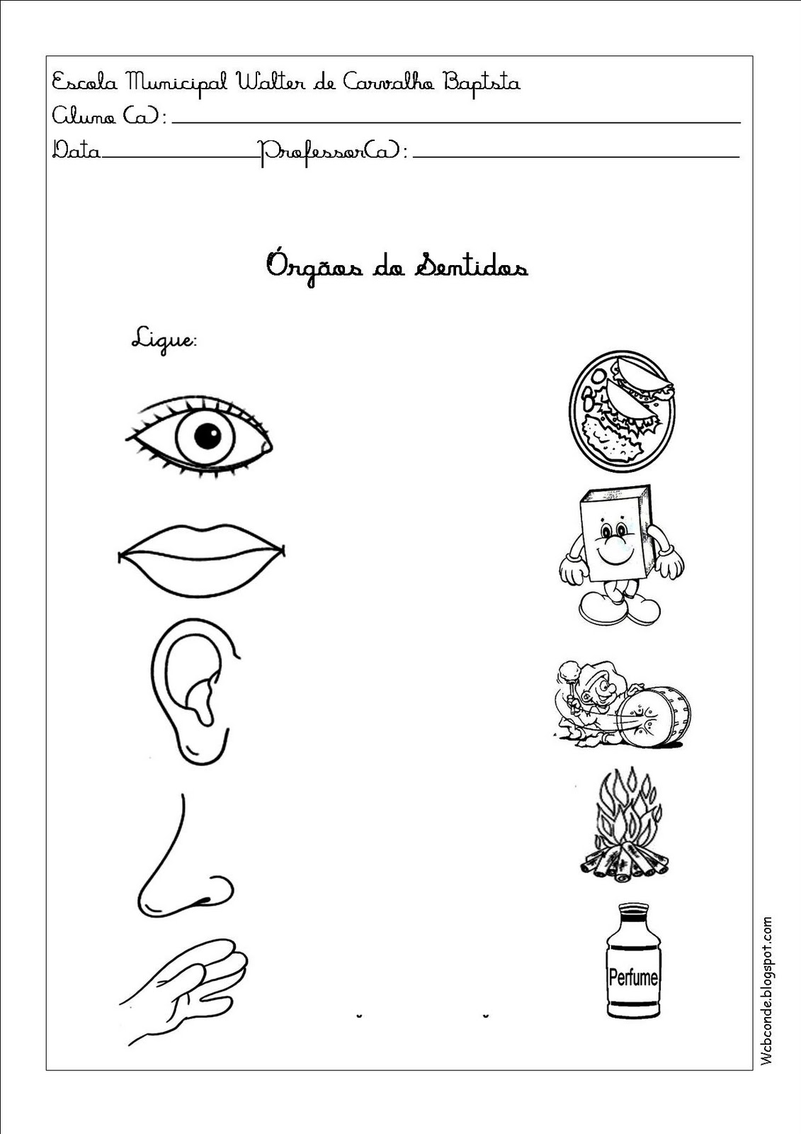 ATIVIDADES PARA TRABALHAR OS 5 SENTIDOS!  Educação infantil, Atividades,  Educação